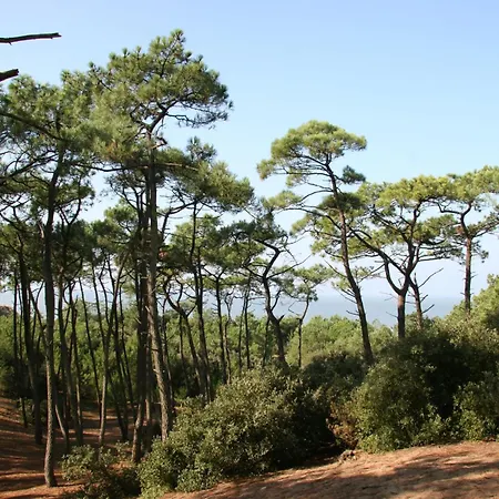Maison Familiale Dans Les Pins A 300 M De La Дом отдыха